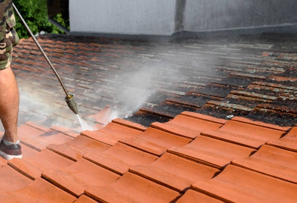 Best Deck Cleaning Services  in High Springs, FL