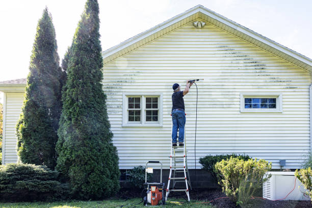 Best House Pressure Washing  in High Springs, FL